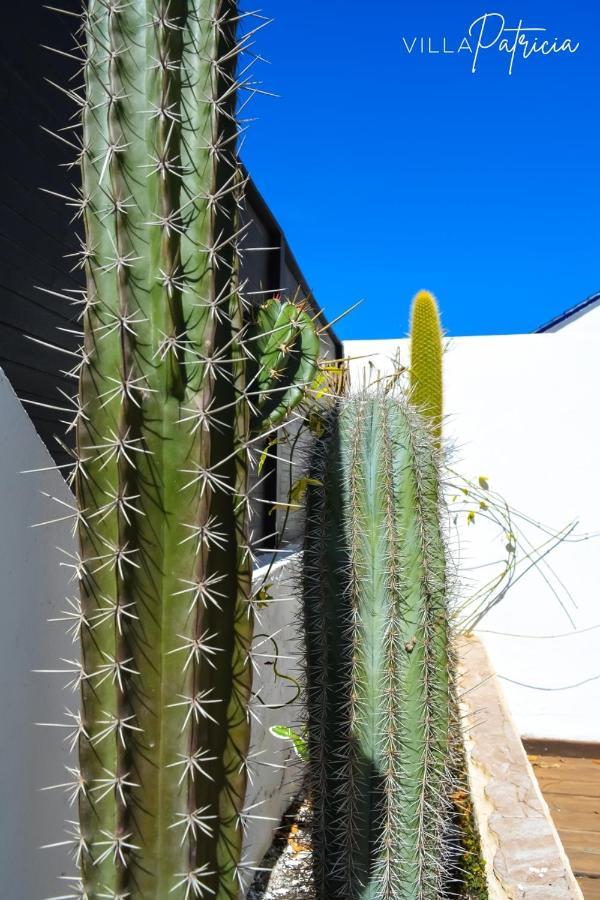 Villa Patricia Corralejo Eksteriør billede